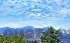大象传媒黄app免费阅读-探索大象传媒黄app，免费阅读的多元魅力