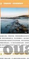 伦理片免费-伦理片免费，网络时代的道德边界与文化探索