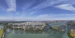 麻豆91入口-揭开网络迷雾，深入了解麻豆91入口及其周边现象的深度观察