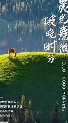 糖心vlog精产国品-糖心Vlog，解锁国产精产内容的新世界