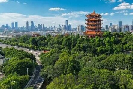 糖心直播app官方版-体验糖心直播APP，解锁全新在线娱乐的互动之旅
