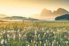 亚洲欧洲日韩av综合-探索亚洲、欧洲、日韩AV综合的多元文化视角